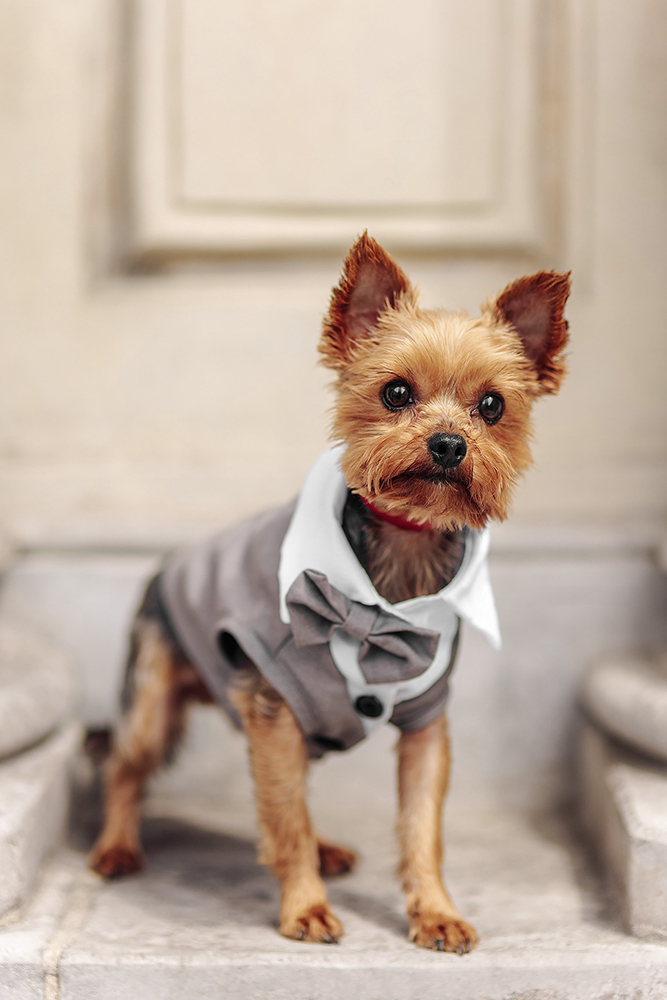 Portret biznesowy stomatologa w studio Kędzierzyn-Koźle